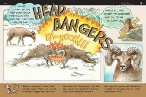 Head Bangers Wayside Glacier National Park Exhibit